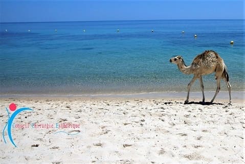 Votre séjour esthétique en Tunisie